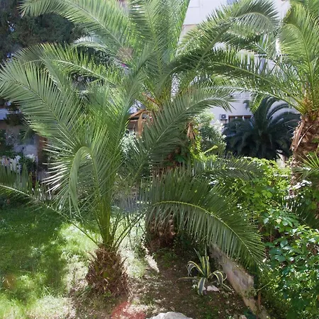 Crvena Orhideja Appartement Split