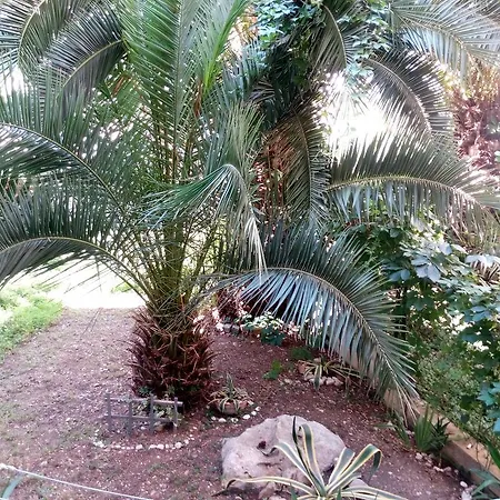 Appartement Crvena Orhideja Split