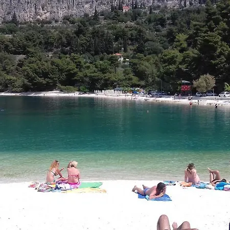 Crvena Orhideja