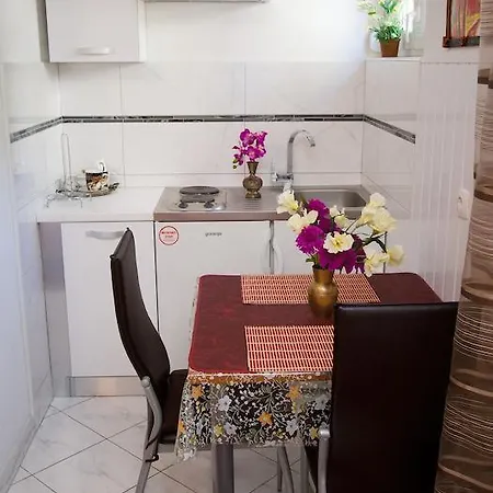 Daire Crvena Orhideja *