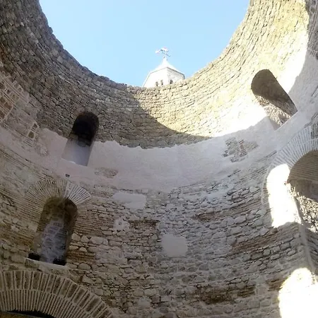 Daire Crvena Orhideja