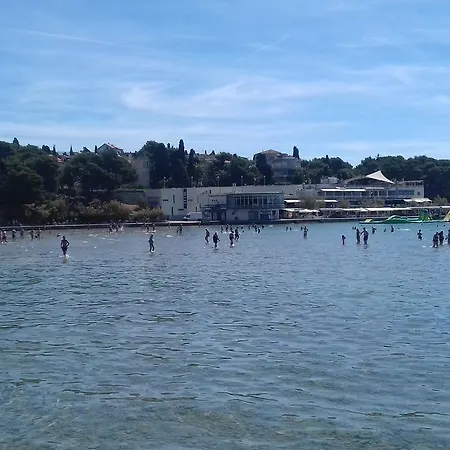 Crvena Orhideja Daire