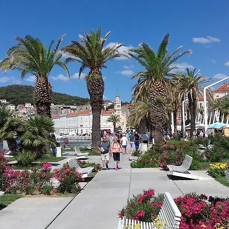 Appartement Crvena Orhideja *