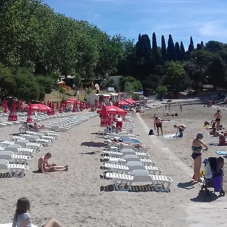 Daire Crvena Orhideja