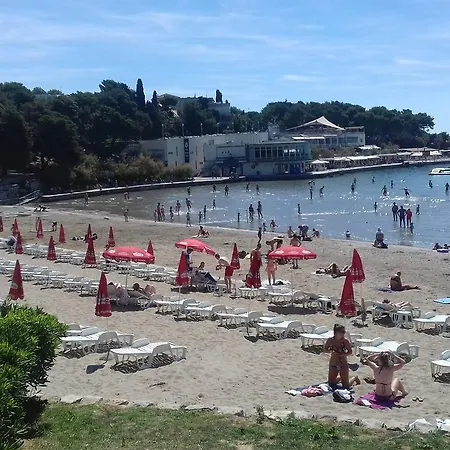 Crvena Orhideja *