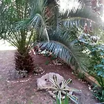 Apartments Crvena Orhideja Split