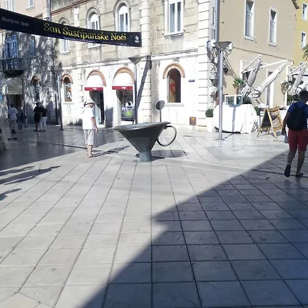 Crvena Orhideja Σπλιτ