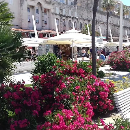 Crvena Orhideja Apartamento Split