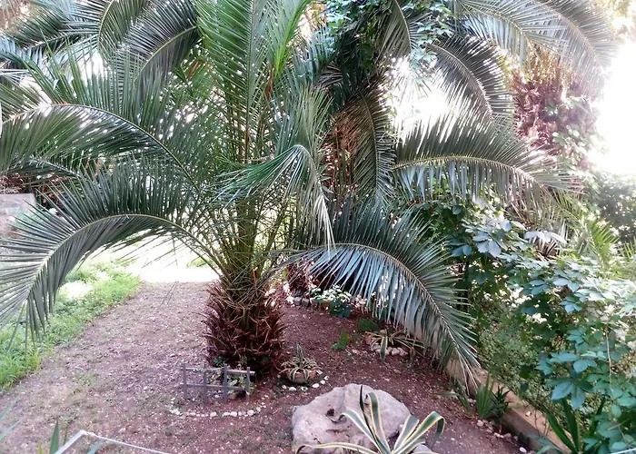 Apartamento Crvena Orhideja Split